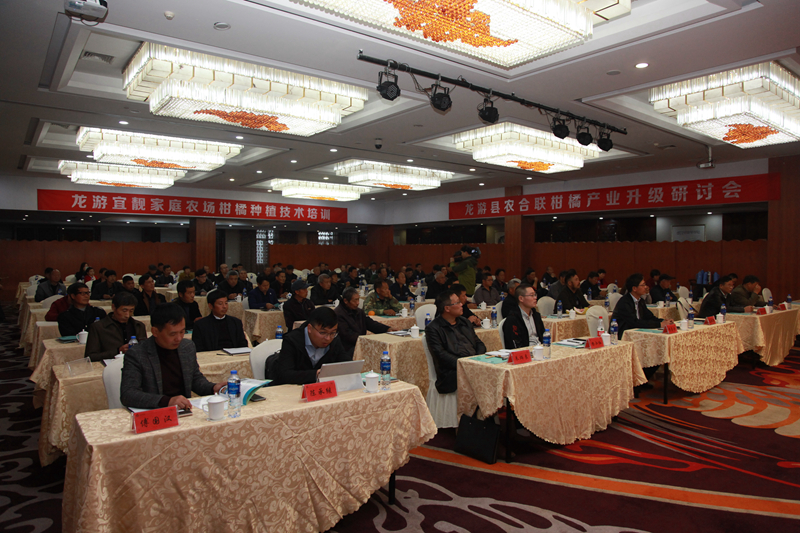 浙農(nóng)集團龍游柑橘產(chǎn)業(yè)精準幫扶技術研討會獲農(nóng)民好評