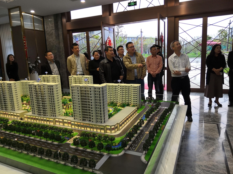 省供銷社理事會副主任張建調研松陽美林&middot;南城壹號