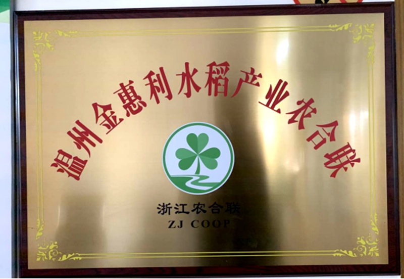 溫州金惠利水稻產(chǎn)業(yè)農(nóng)合聯(lián)獲評&ldquo;省級農(nóng)業(yè)產(chǎn)業(yè)化聯(lián)合體&rdquo;