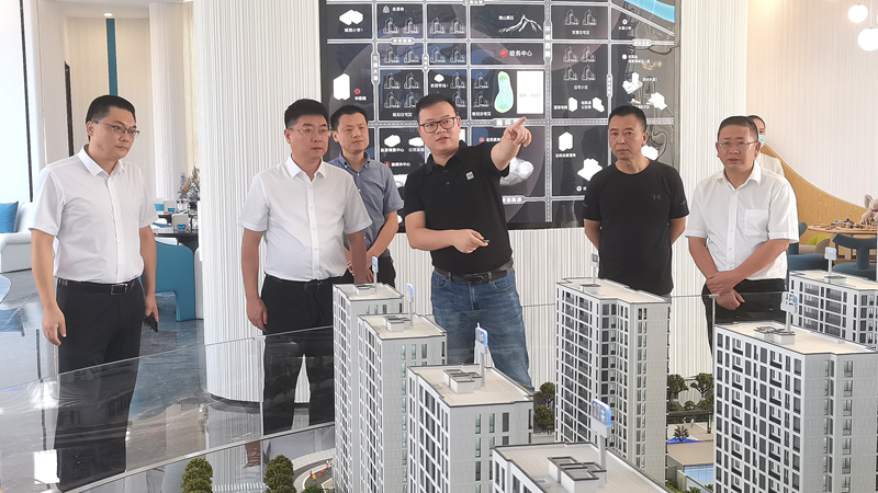 松陽(yáng)縣委副書(shū)記梁海剛到美林&middot;南宸府項(xiàng)目調(diào)研