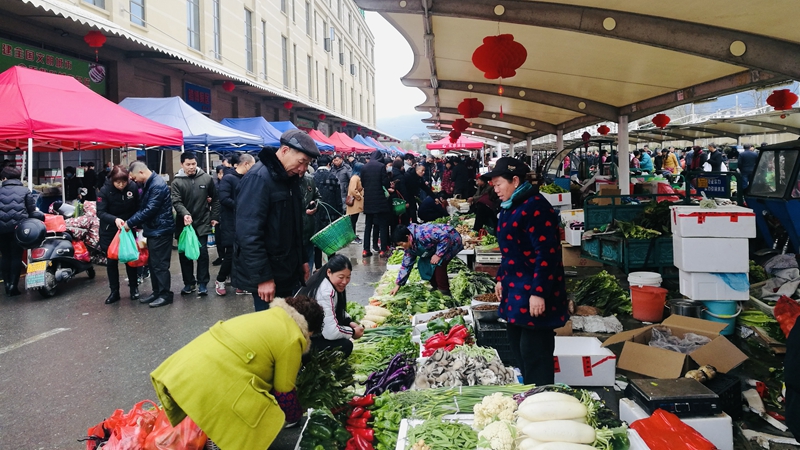 春風輕拂百花開 農批市場&ldquo;春意&rdquo;濃