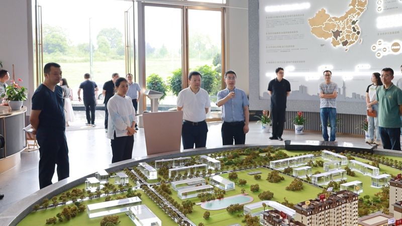 成都市新都區(qū)調(diào)研組到華都&middot;翡麗悅府項目調(diào)研