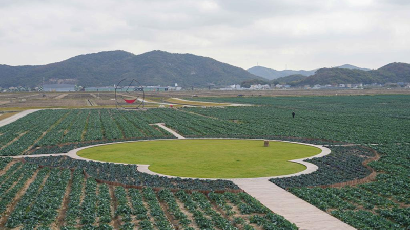 浙農科技岱山運營項目獲人民日報、新華社、央視等主流媒體關注