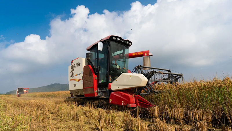 全力以赴奪取秋糧豐收，浙農(nóng)這樣做&rarr;