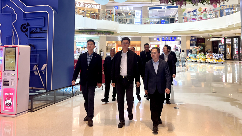 曹勇奇赴華都股份樂清項目調研